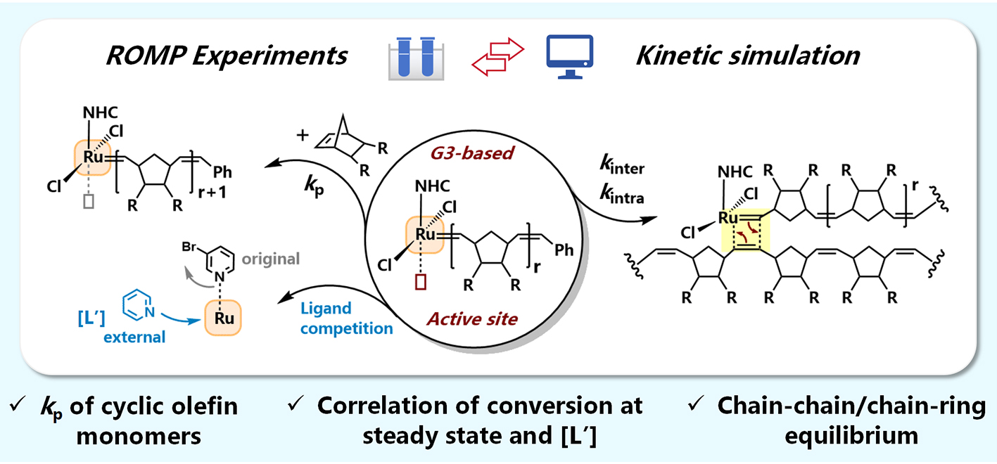 1741420103665819.jpg 1741420103665819.jpg