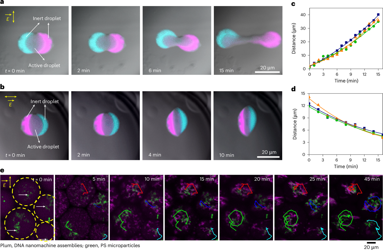 1744250233963773.png 6.png