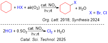 1761022092156043.png image.png